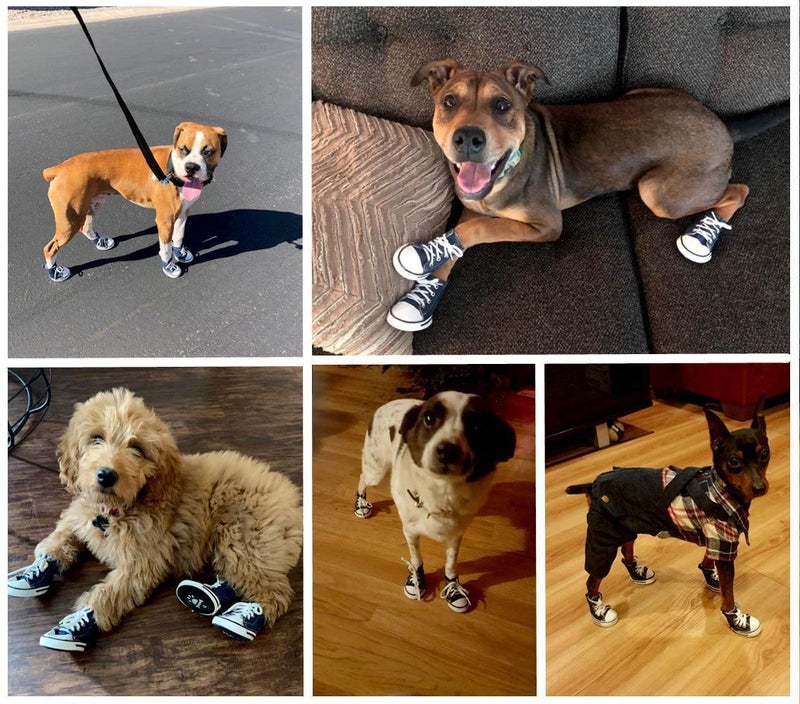 URBEST 4 Pcs Pet Dog Puppy Canvas Sport Shoes, Sneaker Boots, Outdoor Nonslip Causal Shoes (6#, Blue) - Image 5